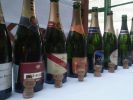 GASTROweb hodnotenie: Šampanské